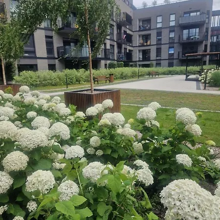 Apartament Serce Miasta *