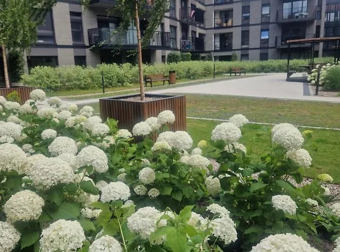 Apartamento Serce Miasta *