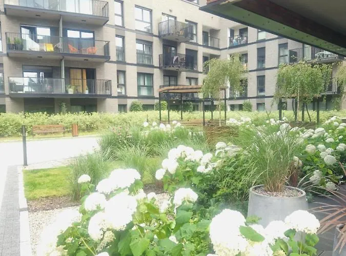 Serce Miasta Gdańsk